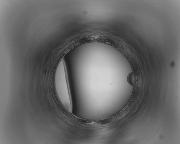X0000091470754200708161128