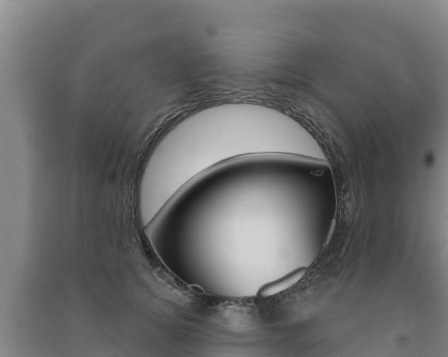 X0000091470756200708161128
