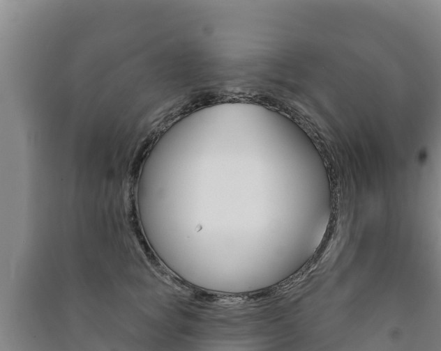X0000091470757200708161128
