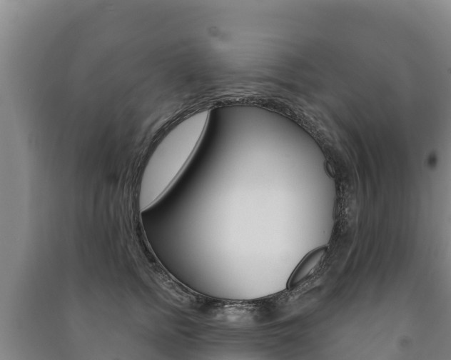 X0000091470758200708161128