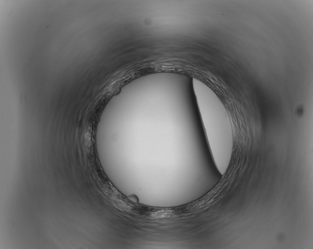 X0000091470761200708161128