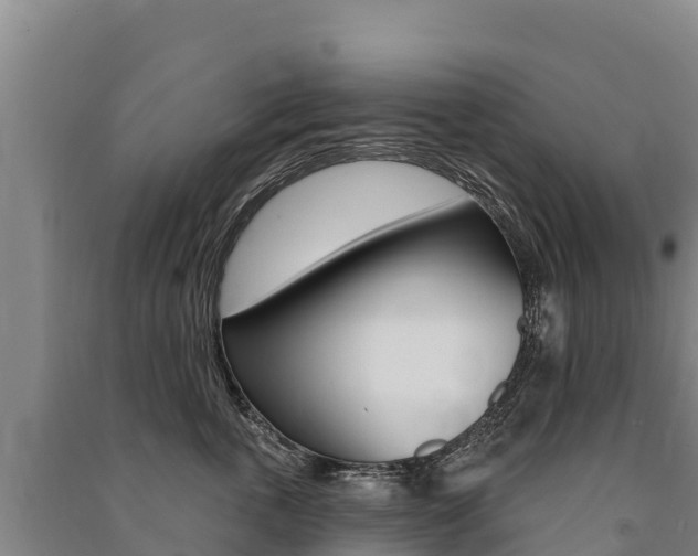 X0000091470763200708161128