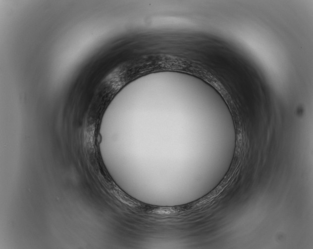 X0000091470765200708161128