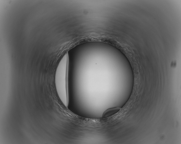 X0000091470768200708161128