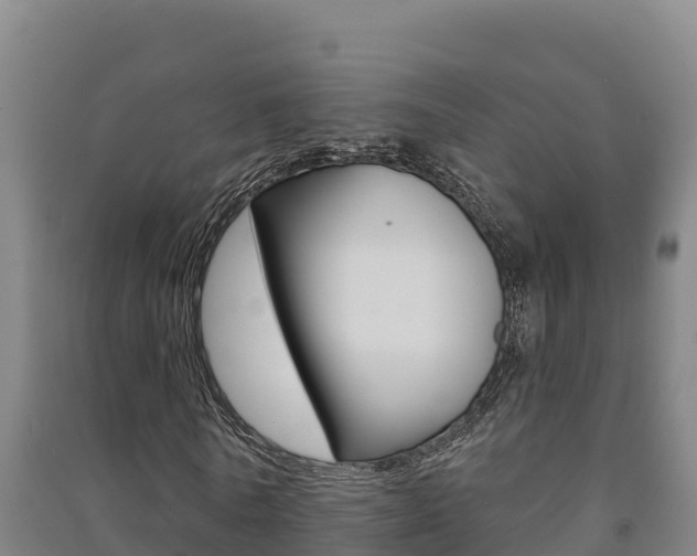 X0000091470770200708161127