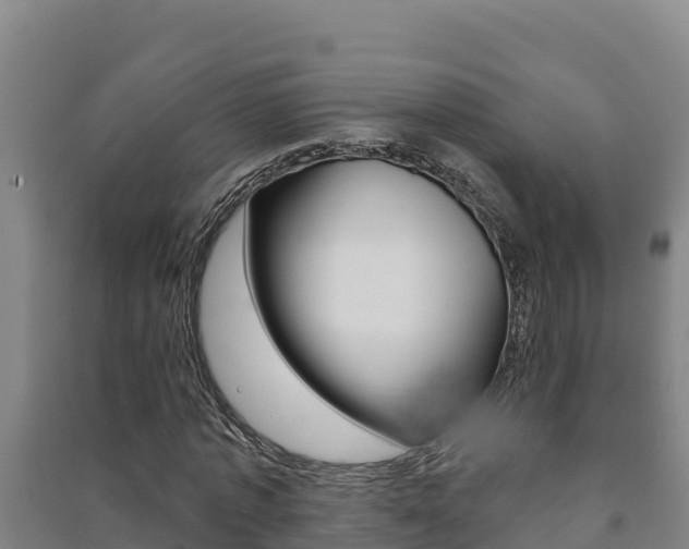 X0000091470773200708161127