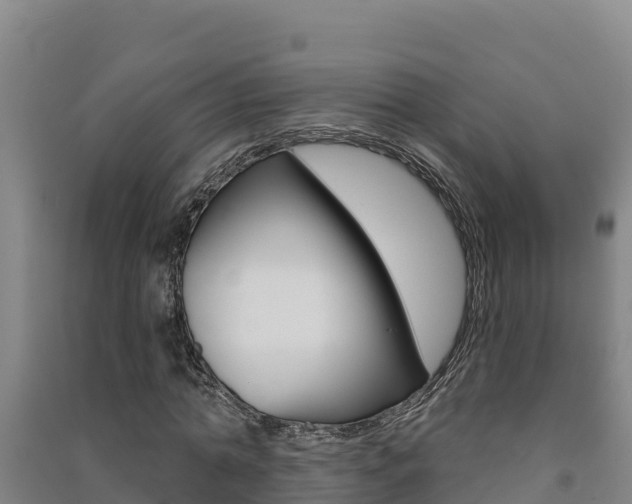 X0000091470774200708161127