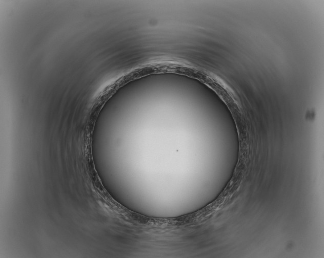 X0000091470775200708161127