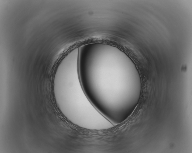 X0000091470776200708161127