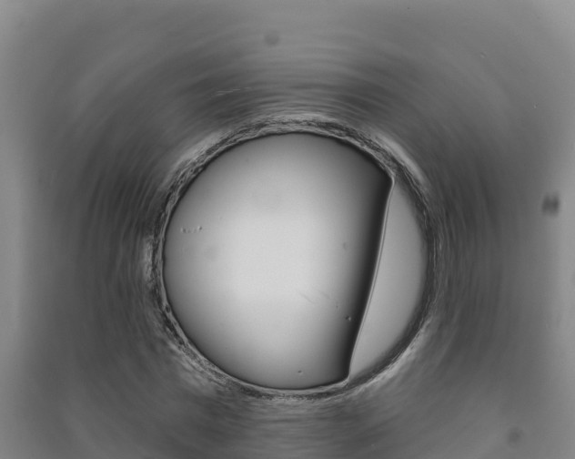 X0000091470777200708161127