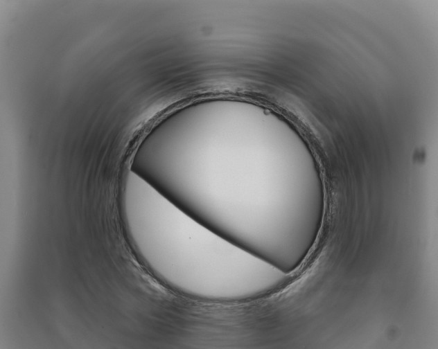 X0000091470778200708161127