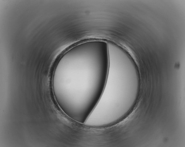 X0000091470779200708161127