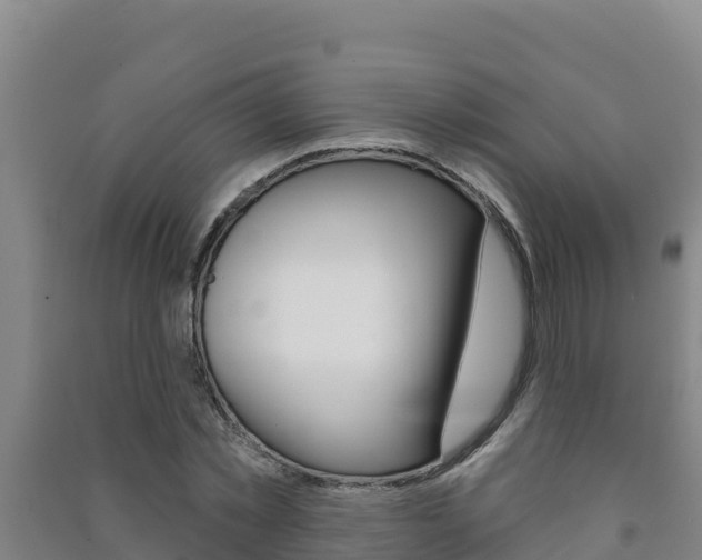X0000091470781200708161127