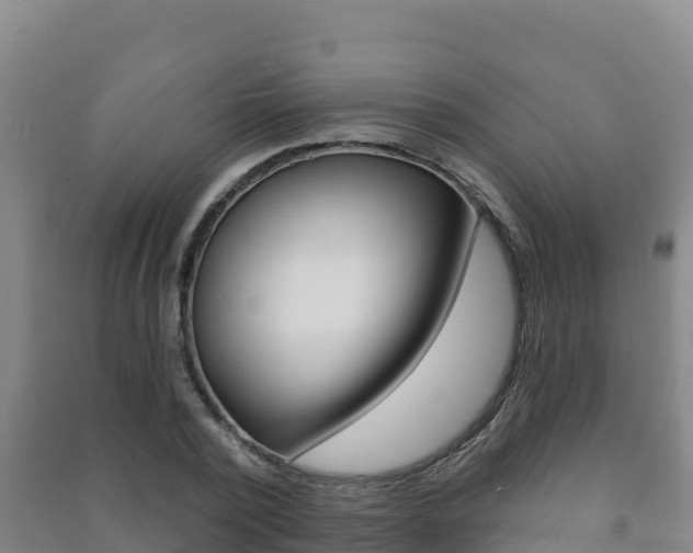X0000091470784200708161127