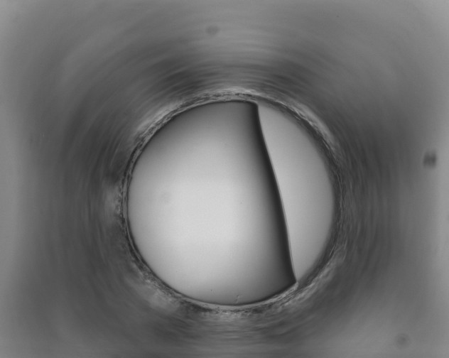 X0000091470785200708161127