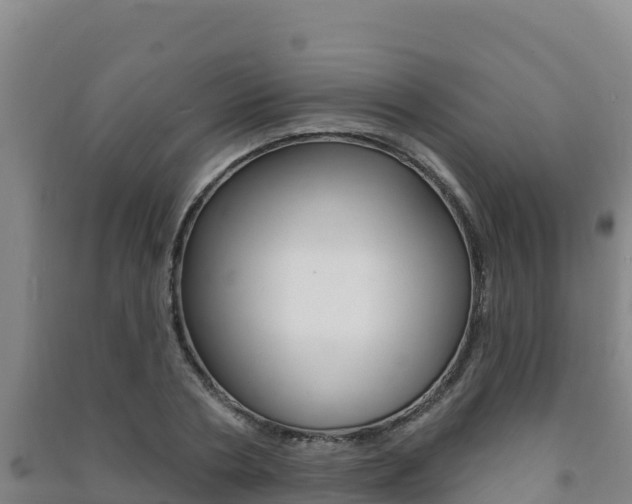 X0000091470786200708161127
