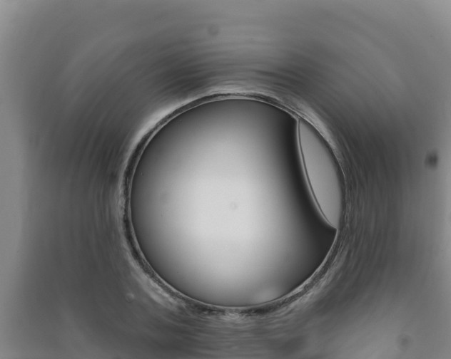 X0000091470787200708161127