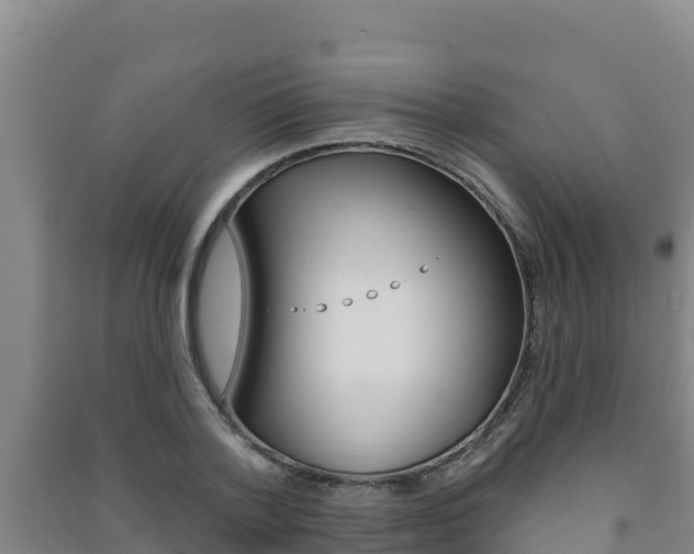 X0000091470788200708161127