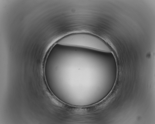 X0000091470789200708161127
