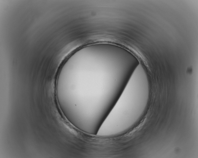 X0000091470790200708161127