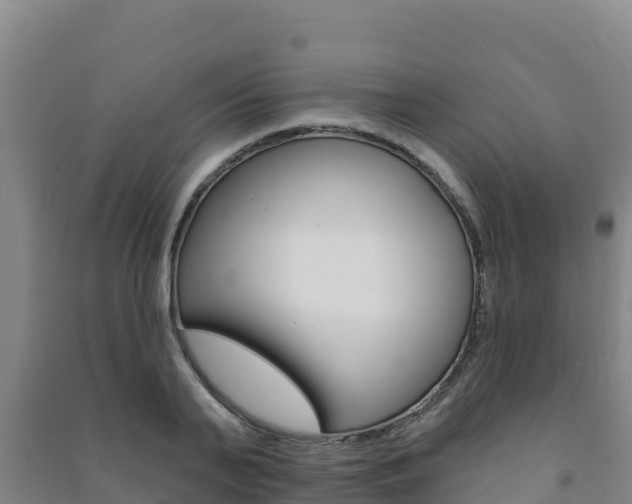 X0000091470791200708161127