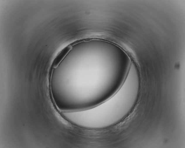 X0000091470792200708161127
