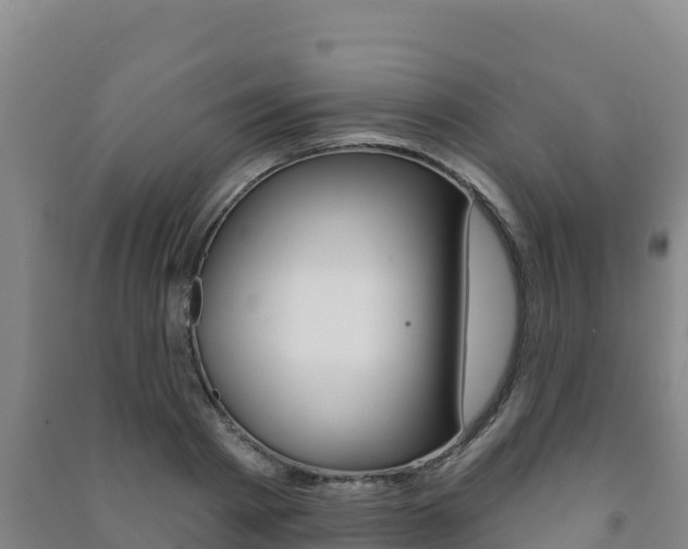 X0000091470793200708161127