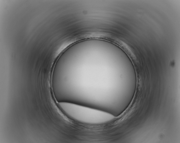 X0000091470794200708161127