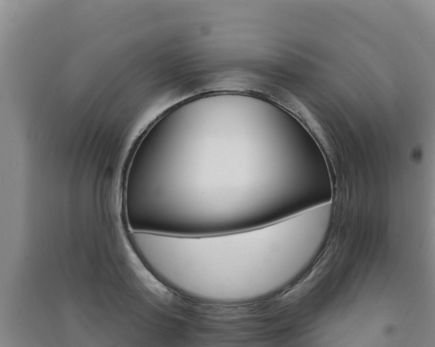 X0000091470795200708161127