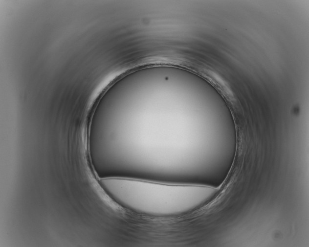 X0000091470796200708161127