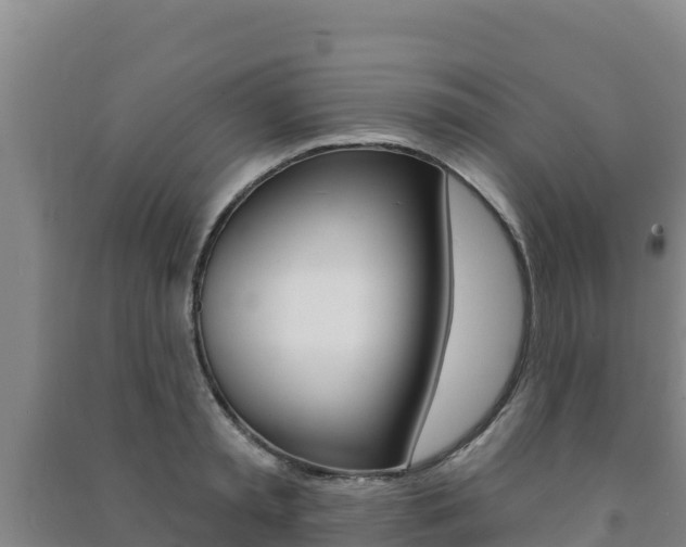 X0000091470797200708161127