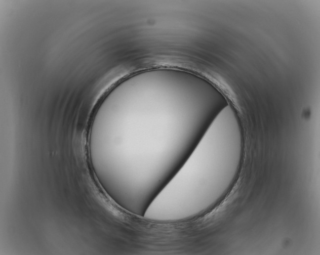X0000091470798200708161127