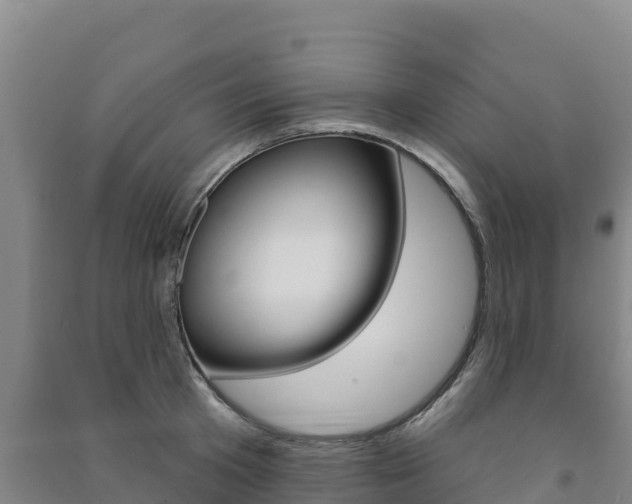 X0000091470801200708161127