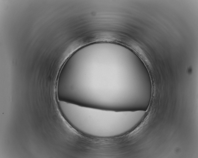 X0000091470802200708161127