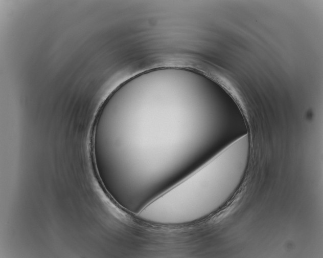 X0000091470803200708161127