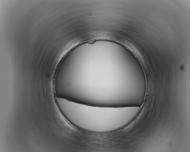 X0000091470806200708161127