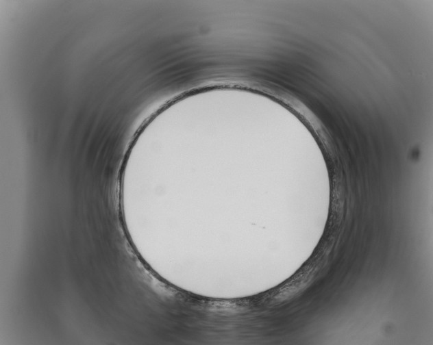X0000091470807200708161127