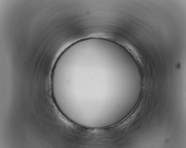 X0000091470808200708161127