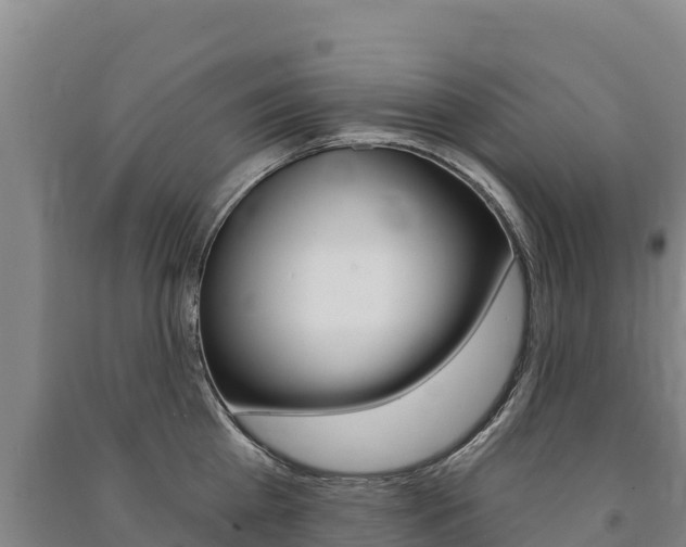 X0000091470809200708161127