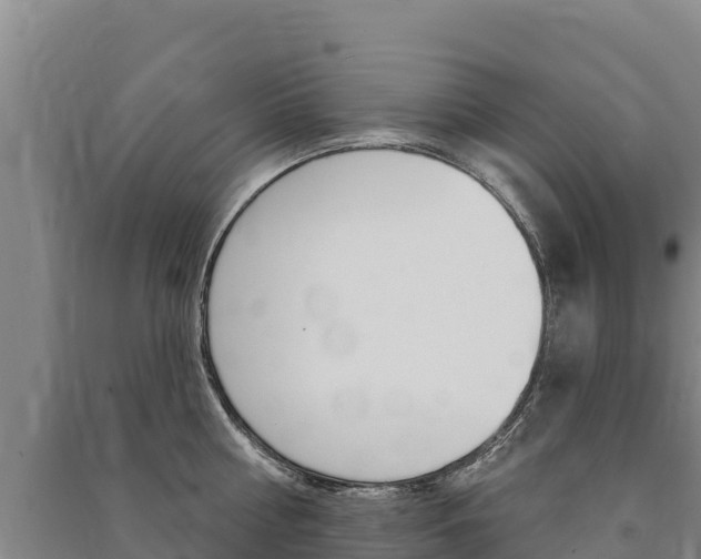 X0000091470810200708161127