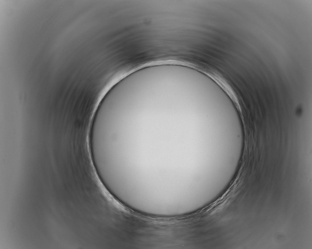 X0000091470813200708161127