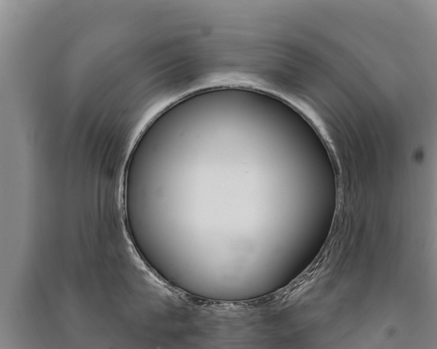 X0000091470815200708161127