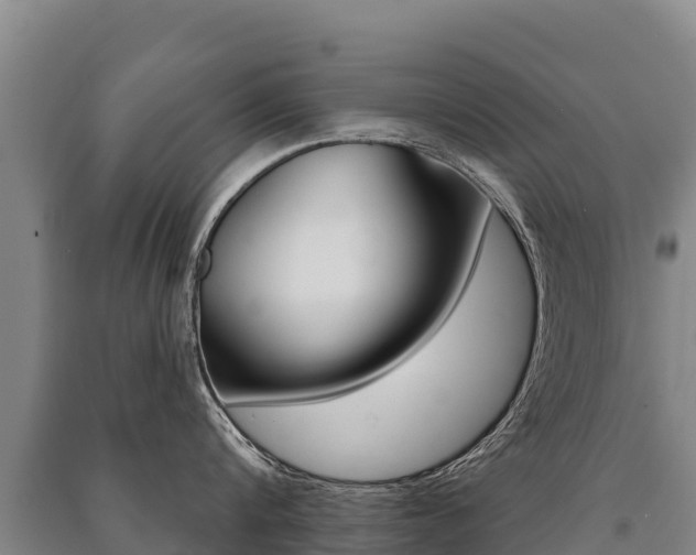 X0000091470816200708161127