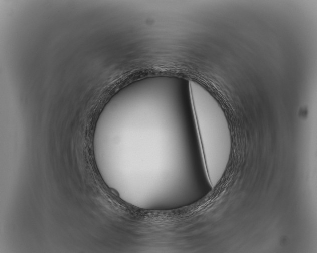 X0000091470817200708161126