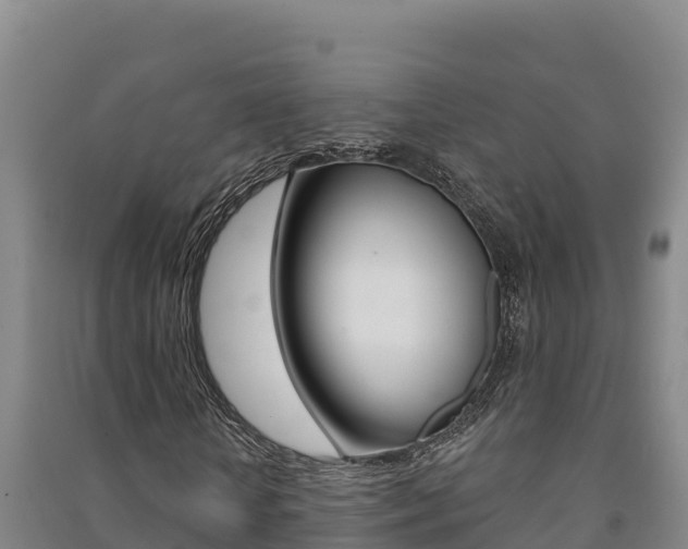 X0000091470818200708161126