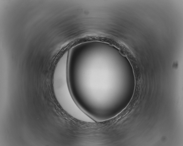 X0000091470822200708161126