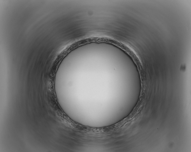 X0000091470823200708161126