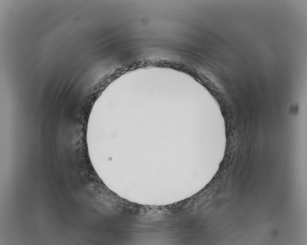X0000091470824200708161126