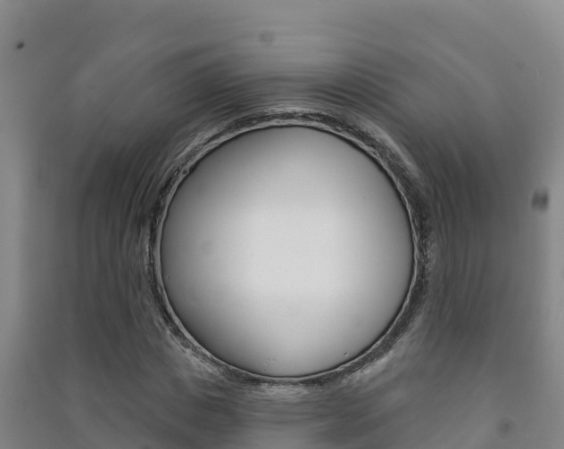 X0000091470825200708161126
