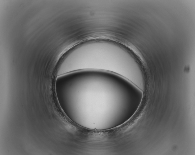 X0000091470826200708161126
